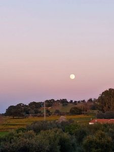 Buenas tardes
  Atardecer en Cumbres de San Bartolomé.