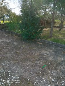 #Buenosdias
La ilusión, la esperanza de volver a ver los niños y niñas jugar en ...