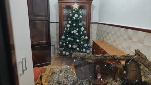 Calle Espíritu Santo
  Seguimos Compartiendo los Adornos navideños.
 Compartimos...