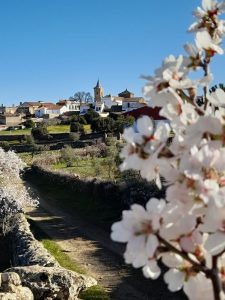 Cumbres de San Bartolomé