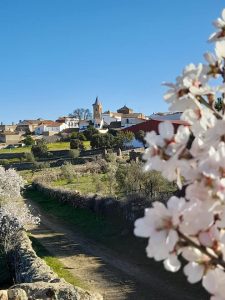 Cumbres de San Bartolomé
 Imágenes cedidas por Gregorio Sánchez Ruiz