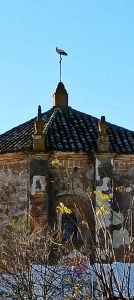 Nido con Cigüeñas....embellece nuestra iglesia.