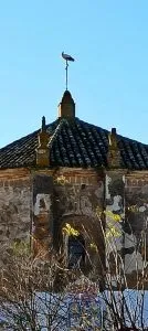 Nido con Cigüeñas....embellece nuestra iglesia.