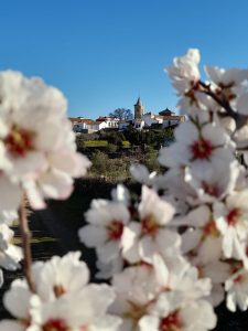 Paseo por Cumbres de San Bartolomé