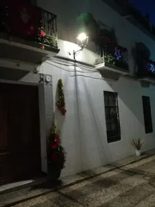Seguimos compartiendo la magia de la Navidad.
Flores Quintanilla
Calle MesĂłn
...