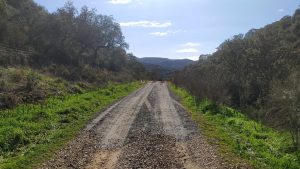 Seguimos trabajando.
 Arreglos de Caminos.
  Ayuntamiento Cumbres de San Bartolo...