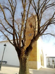 #BUENOSDIAS
 IMAGEN CEDIDA 
  Marisa Domínguez