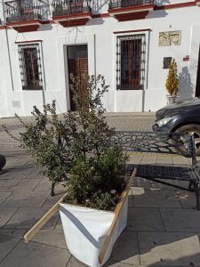 Cumbres de San Bartolomé