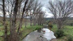 Cumbres de San Bartolomé en Huelva 
 #Huelva #CumbresDeSanBartolomé