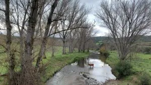 Cumbres de San Bartolomé en Huelva
#Huelva #CumbresDeSanBartolomé