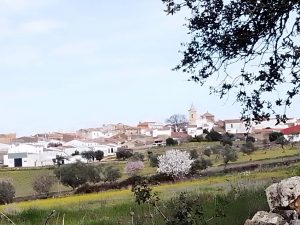 Feliz Sobremesa....ya va finalindo el primer fin de semana de febrero.
 Para tod...