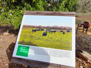 Visita Guiada a Huerto Ramírez
 Diputación de Huelva
 Ayuntamiento Cumbres de Sa...
