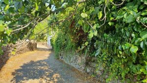 Cumbres de San Bartolomé, a la espera de un nuevo #Amanecer