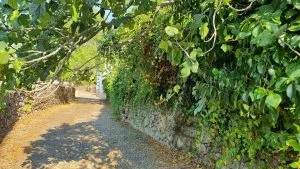 Cumbres de San Bartolomé, a la espera de un nuevo #Amanecer
