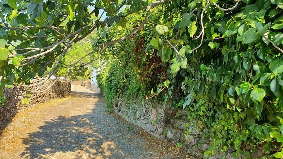 Cumbres de San Bartolomé, a la espera de un nuevo #Amanecer