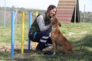 Diputación hace un llamamiento a la adopción de perros abandonados a través de ...