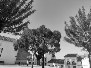 Seguimos trabajando por el bien común de nuestro municipio.
  Ayto Cumbres de Sa...