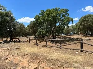 Seguimos trabajando
Planes de Empleo.
Gracias a todos los trabajadores por su ...