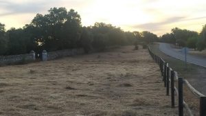 Trabajos de desbroce.
 Mantenimiento y limpieza
 Ayto Cumbres de San Bartolomé