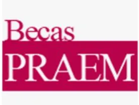 Estudiantes universitarios pueden solicitar las ayudas del programa de prácticas...