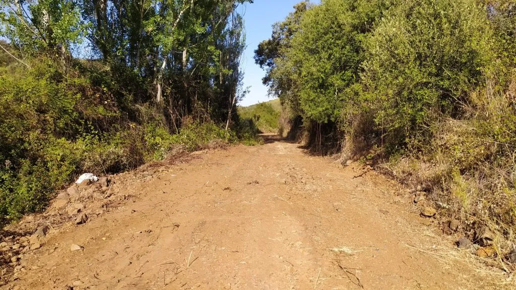 Seguimos trabajando
 Arreglo de caminos 
 PROGRAMA DE FOMENTO DE EMPLEO AGRARIO
...