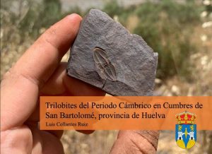 Trilobites del Período Cámbrico 
 Hallazgo:Término Municipal Cumbres de San Bart...