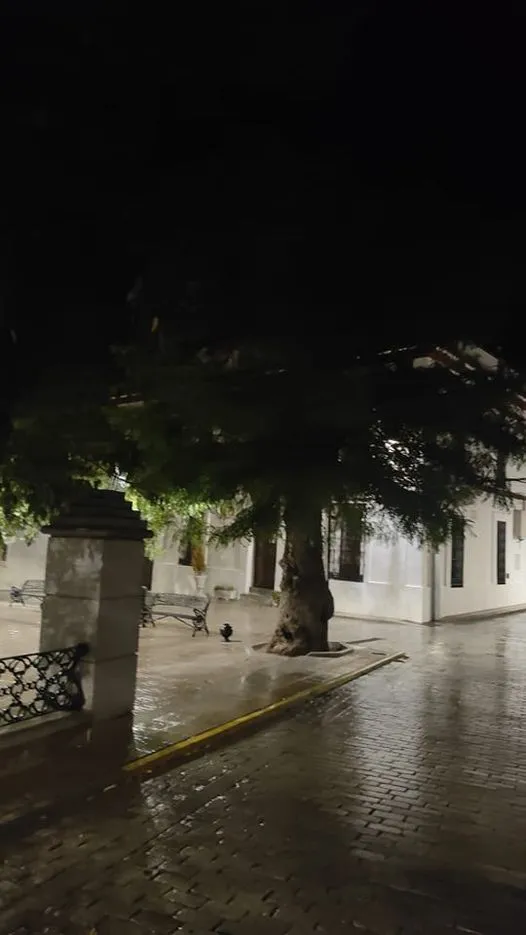 #Buenasnoches
La lluvia tan esperada para paliar la sequía.
Un día perfecto pu...