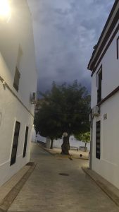 Domingo...tarde de tormenta.