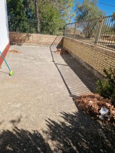 Limpieza de las instalaciones del recinto " Antiguo colegio Carmen Antón"