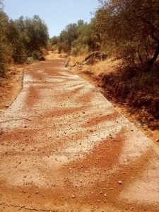 Seguimos trabajando.
 Arreglos de caminos
 #rural