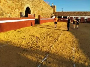 Torneo de Petanca
 Castillo-fortaleza
 Cumbres de San Bartolomé 
 Verano #deport...
